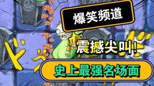 僵尸哥今日爆料最新版,最新版爆料背后的惊人真相